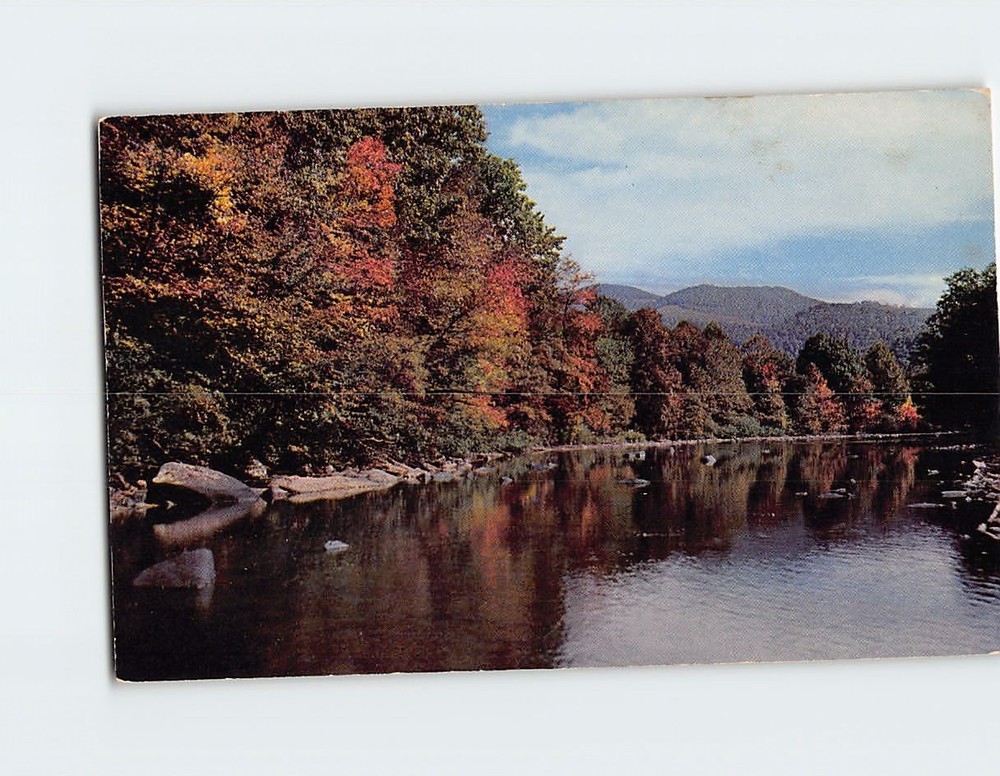 Postcard Autumn River Nature Scene