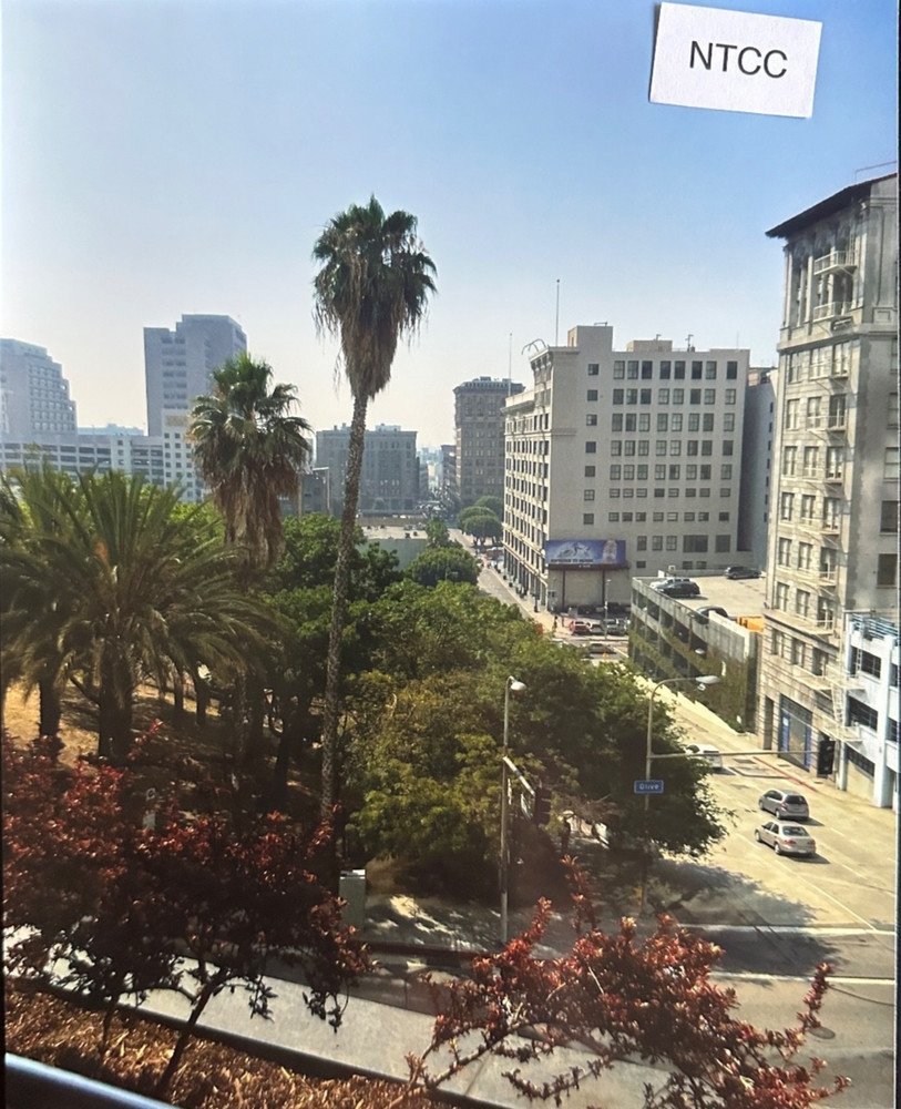 Olive Street downtown LA - Los Angeles, Ca. 8