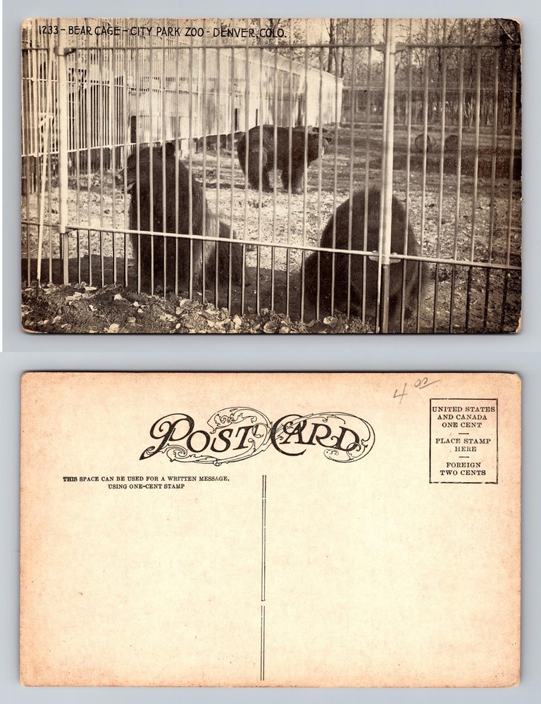 Denver, CO-Colorado, Bear Cage City Park Zoo Denver Wildlife Vintage Postcard