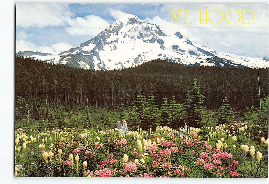 Postcard Mt. Hood from Lolo Pass Oregon USA