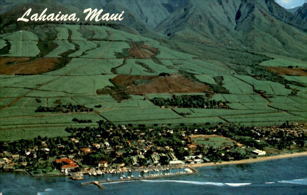Lahaina, Maui - Whaling Capital of the Pacific Postcard
