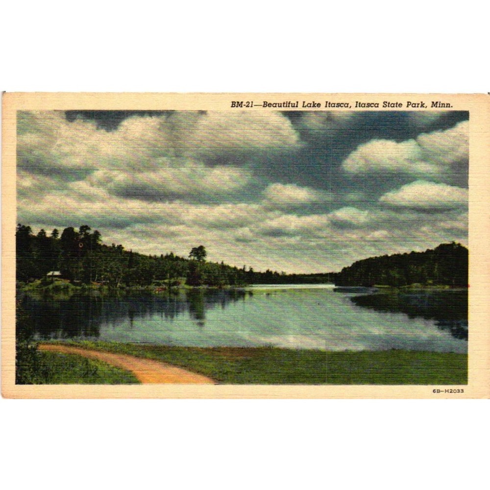 Vintage Lake Itasca State Park Minnesota Linen Postcard BM21 Curt Teich Unposted