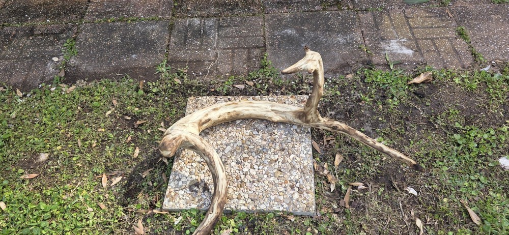 aquarium driftwood extra large