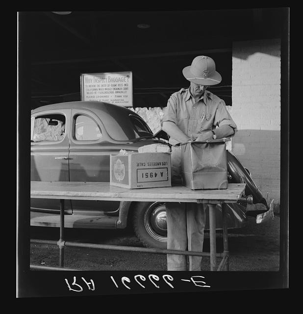 Arizona California State Plant Quarantine Inspector Examining Baggage 1937