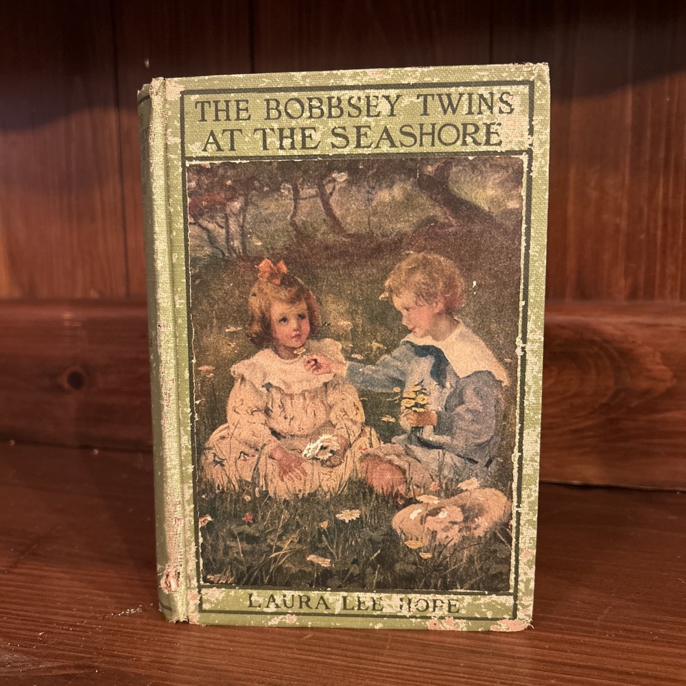 1924 Laura Lee Hope The Bobbsey Twins Grosset & Dunlap Illustrated Hardcover