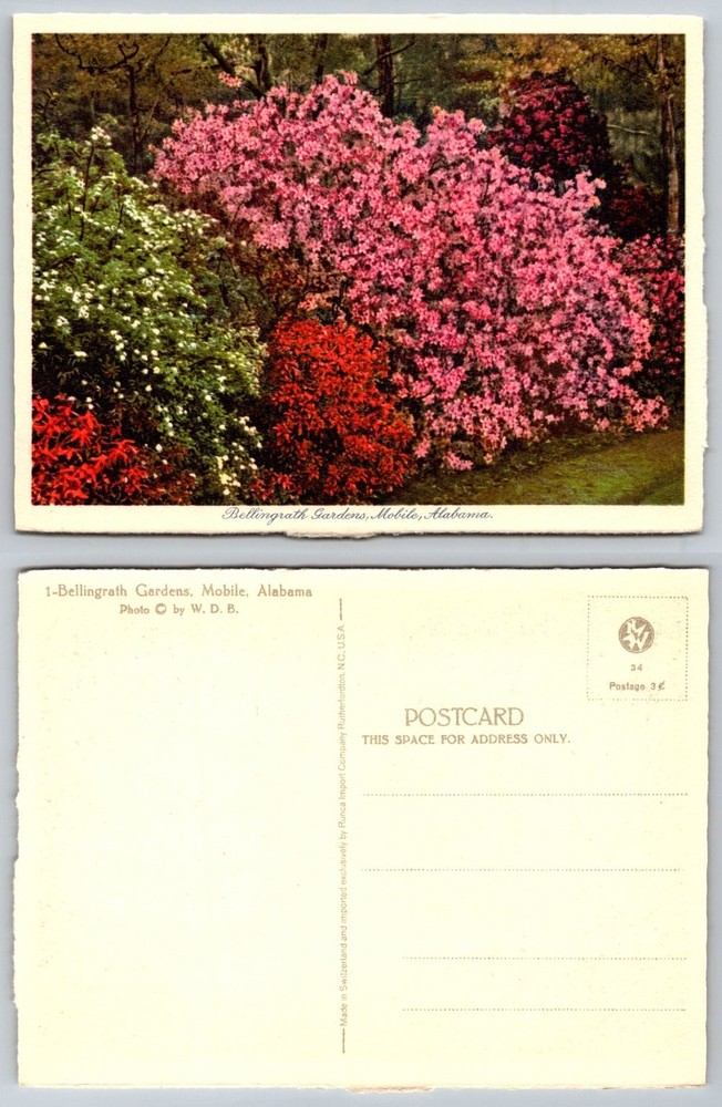 Vintage Bellingrath Gardens Mobile Alabama Azaleas Flowers Scenic Postcard