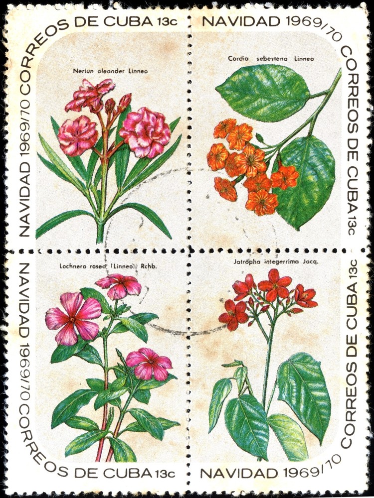 7868.Decoration Poster.Home Room wall interior art design.Cuba Correos.Flowers