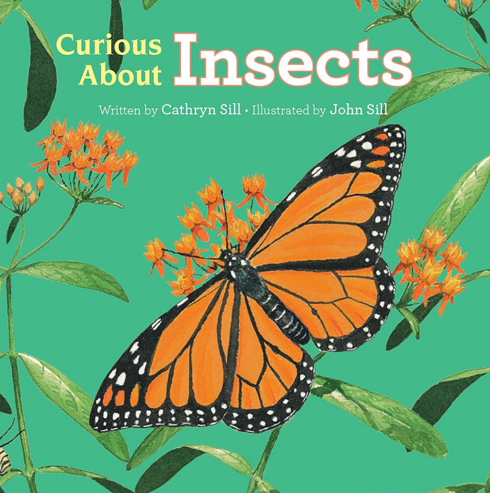 Curious About Insects (Discovering Nature) by Sill
