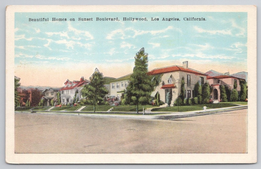 Vintage Sunset Blvd Hollywood Homes Postcard Los Angeles California White Border