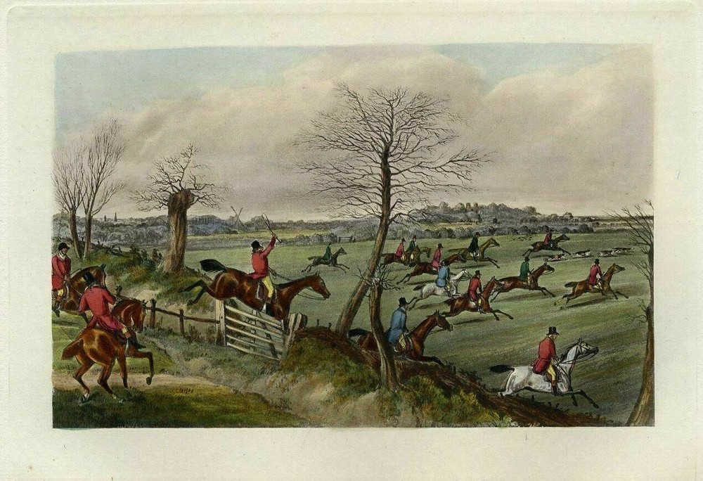 Foxhounds In Full Cry On The Scent Of The Wiley Fox Hunters Horses Jumping Fence