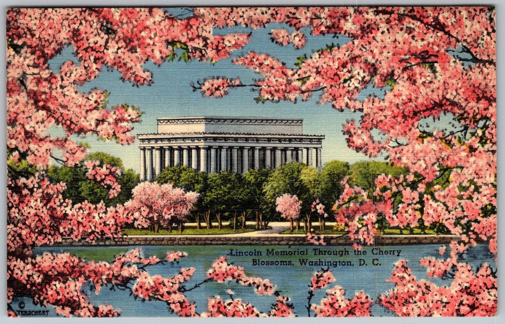 Vtg Linen Postcard Lincoln Memorial Cherry Washington, DC 1930s