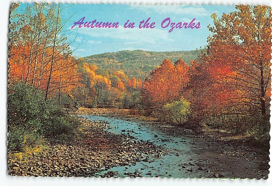 Postcard Autumn In The Ozarks USA