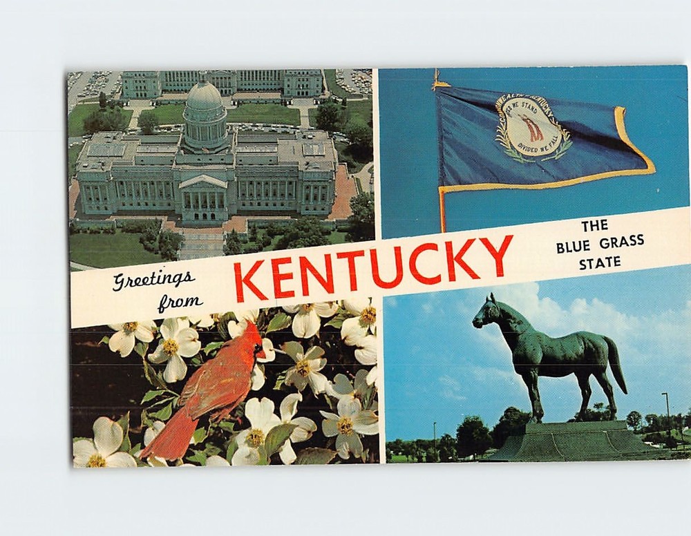 Postcard Views and Scenes in the Blue Grass State Kentucky USA