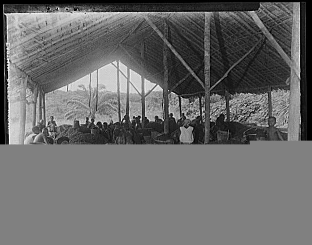 Photo:Thatched Roof Pavilion Crowd 1900s Historical Photograph Print