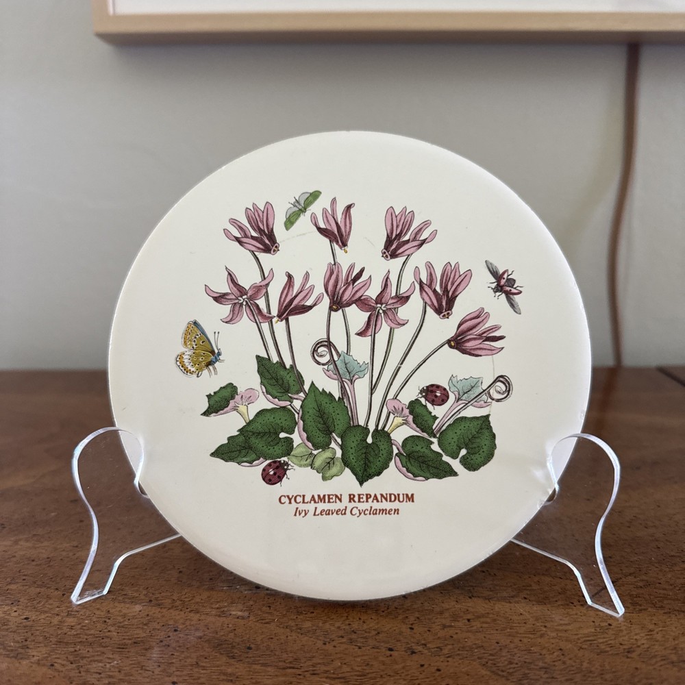 Vintage Portmeirion Botanic Garden Round Trivet Felt Base Ivy Cyclamen Repandum