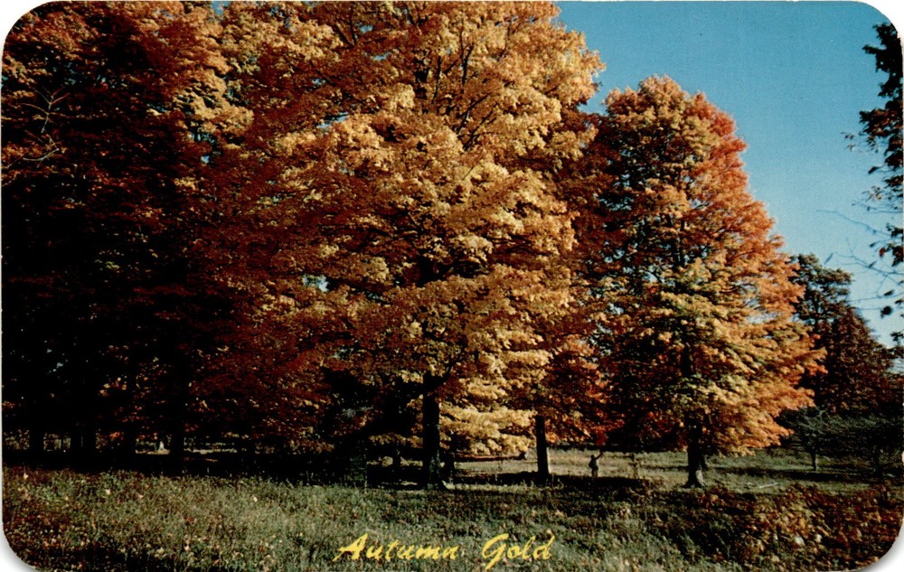 DEXTER PRESS, West Nyack, N. Y. Postcard
