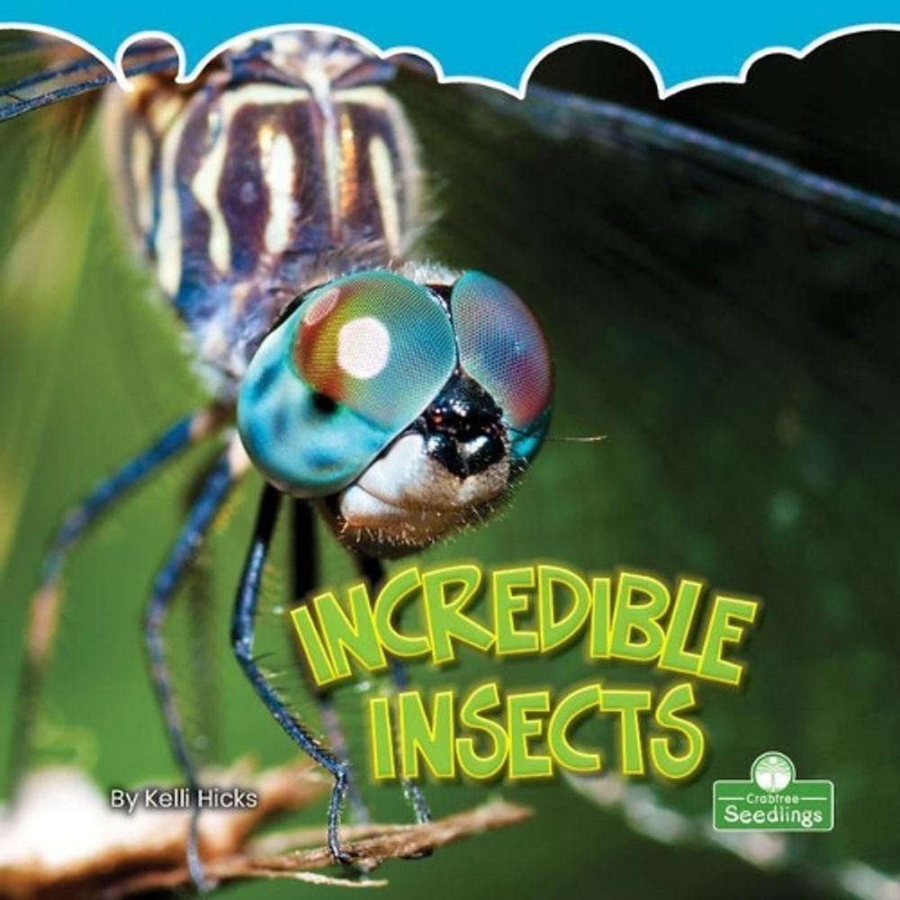 Incredible Insects by Kelli Hicks (English) Paperback Book