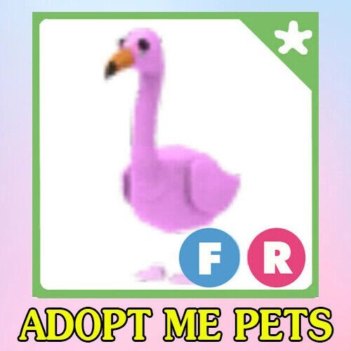 FR Flamingo - Cheap & Trusted Store!!