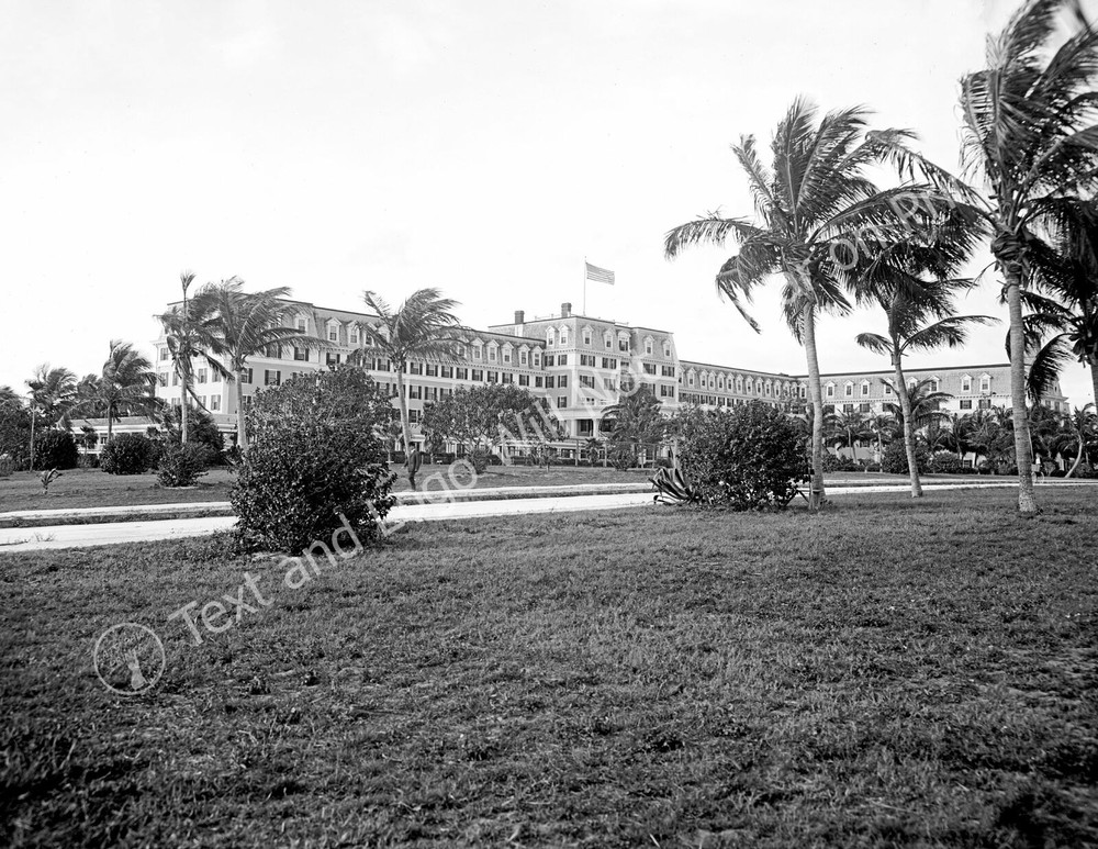 1910's Royal Palm Hotel, Miami, Florida Vintage Old Photo 8.5