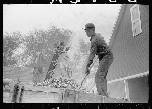 Photo:Grundy County Iowa 1939 Corncobs After Shelling Farm Granary Storage