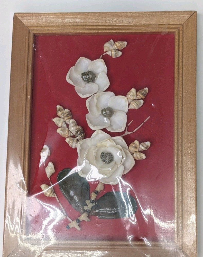 Sea Shell Art Picture Floral Art Wood Frame Vintage 8