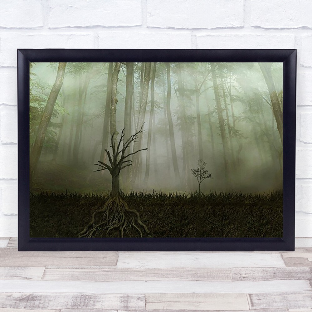 Root 1 Roots Fog Mist Haze Trees Woods Tree Wall Art Print