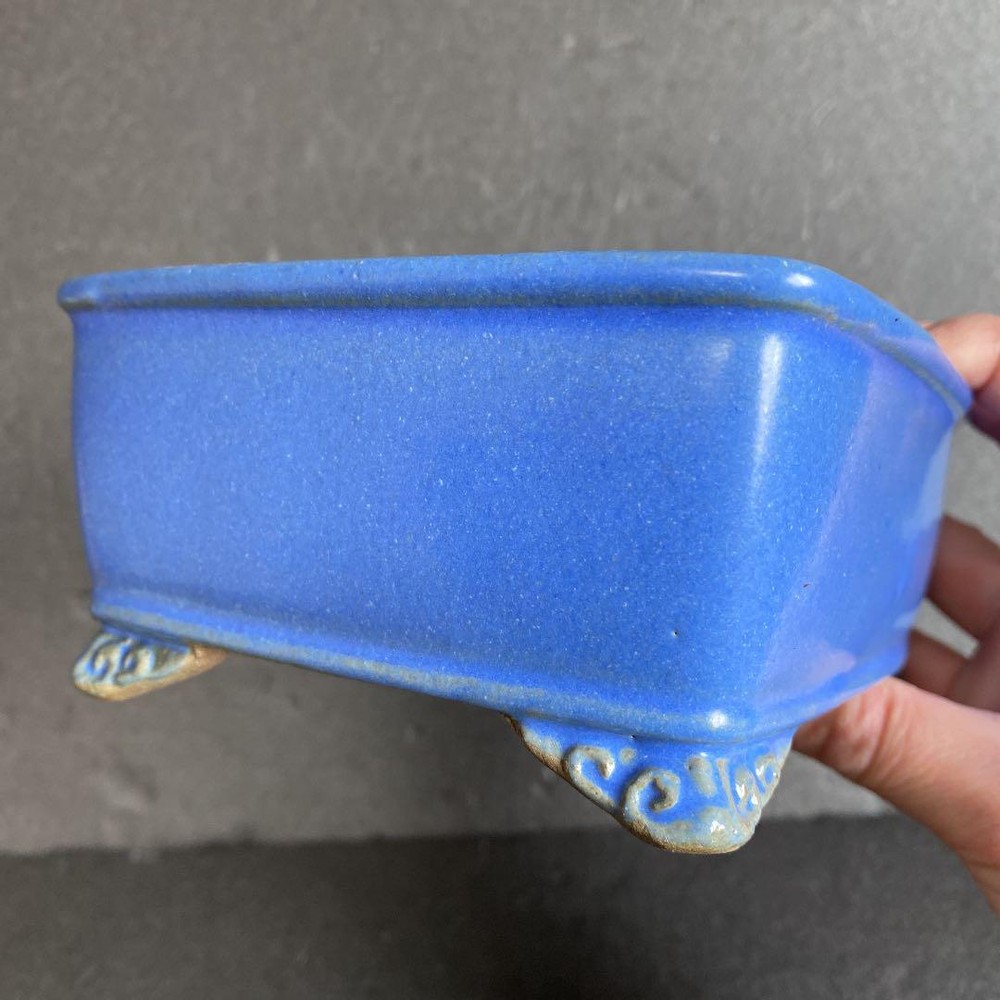 Japanese Bonsai pot TOKONAME Shibakatsu Rectangular shape W15.9cm H6.6cm Glazed