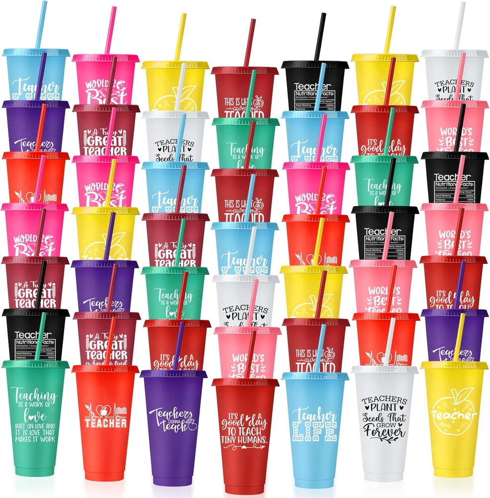 50 Pcs Teacher Appreciate Christmas Gifts Bulk Teacher Tumblers with Straw and L