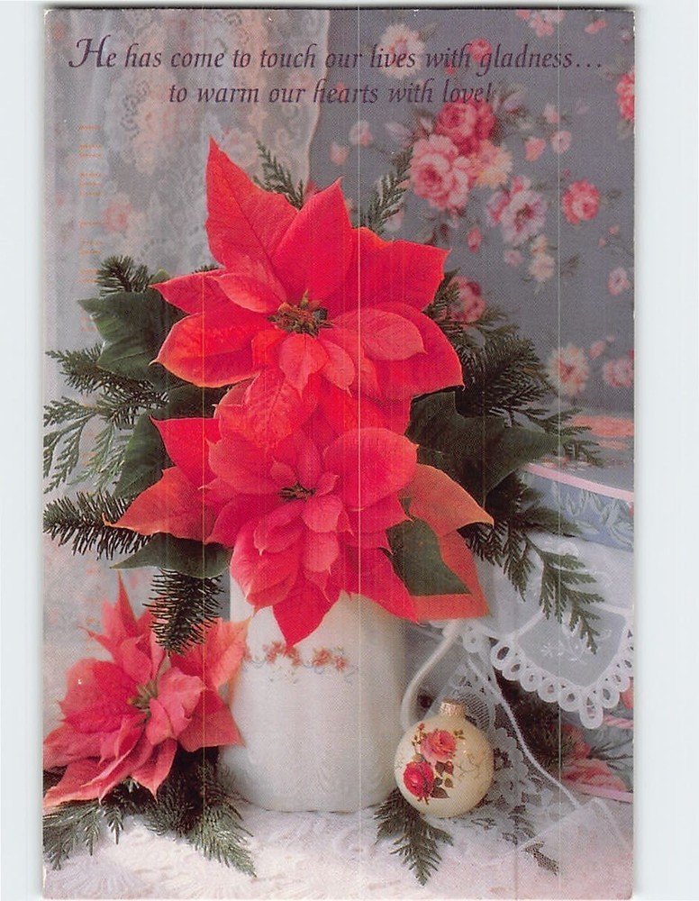 Postcard Poinsettia Flowers on a Vase