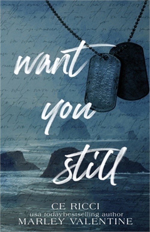 Want You Still (Alternate Cover) (Paperback or Softback)