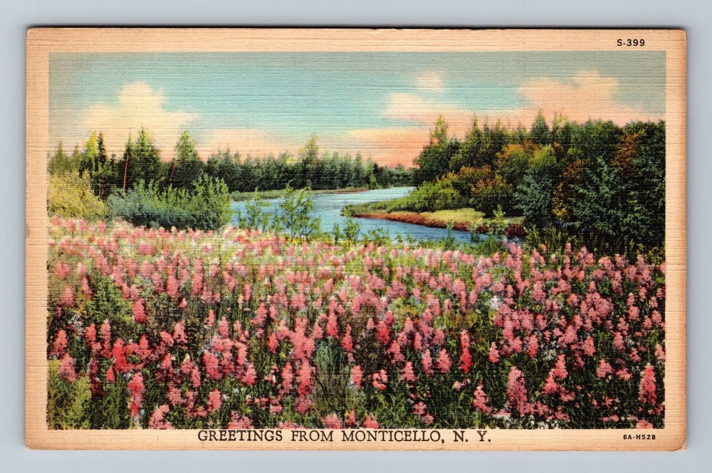 Monticello NY-New York Scenic Greetings Landmarks Vintage Postcard