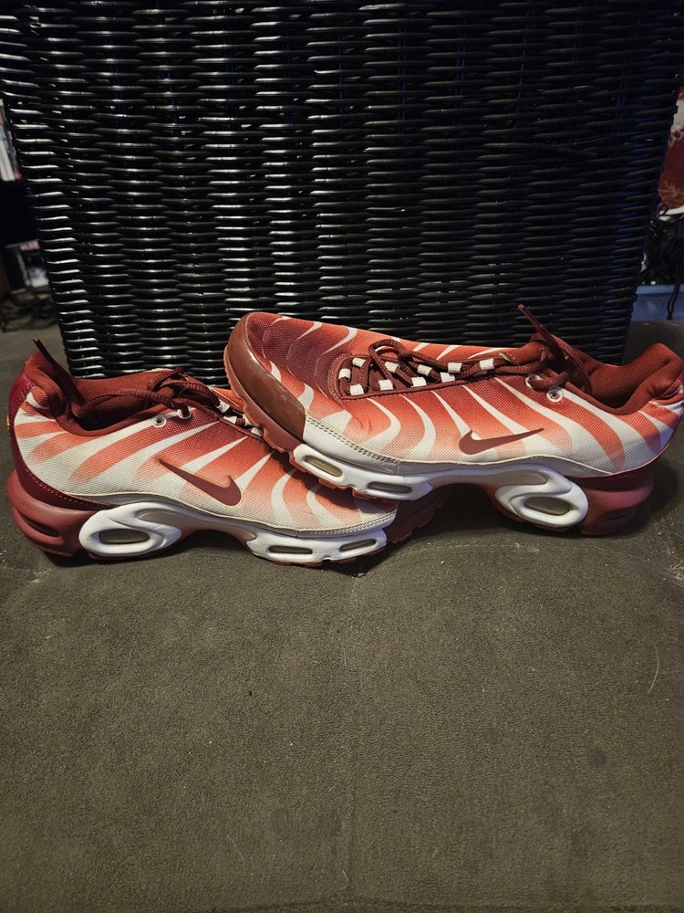 Size 10 - Nike Air Max Plus After the Bite