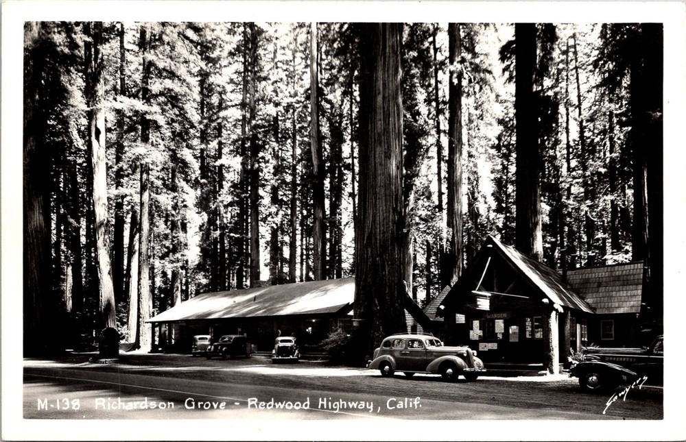 Garberville CA Richardson Grove State Park Humboldt Co Car RPPC Postcard   35315