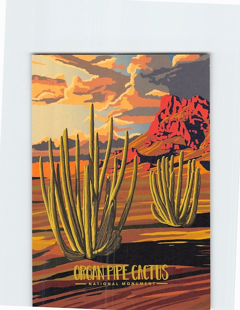 Postcard Organ Pipe Cactus National Monument Ajo Arizona USA