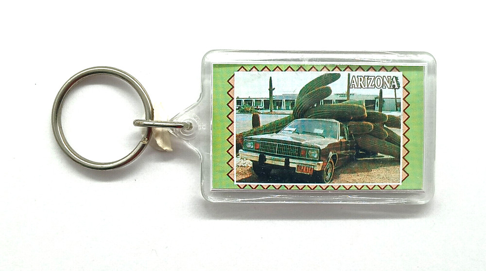 Vintage NOS Arizona Cactus Smashed Car Funny Keyring Keychain
