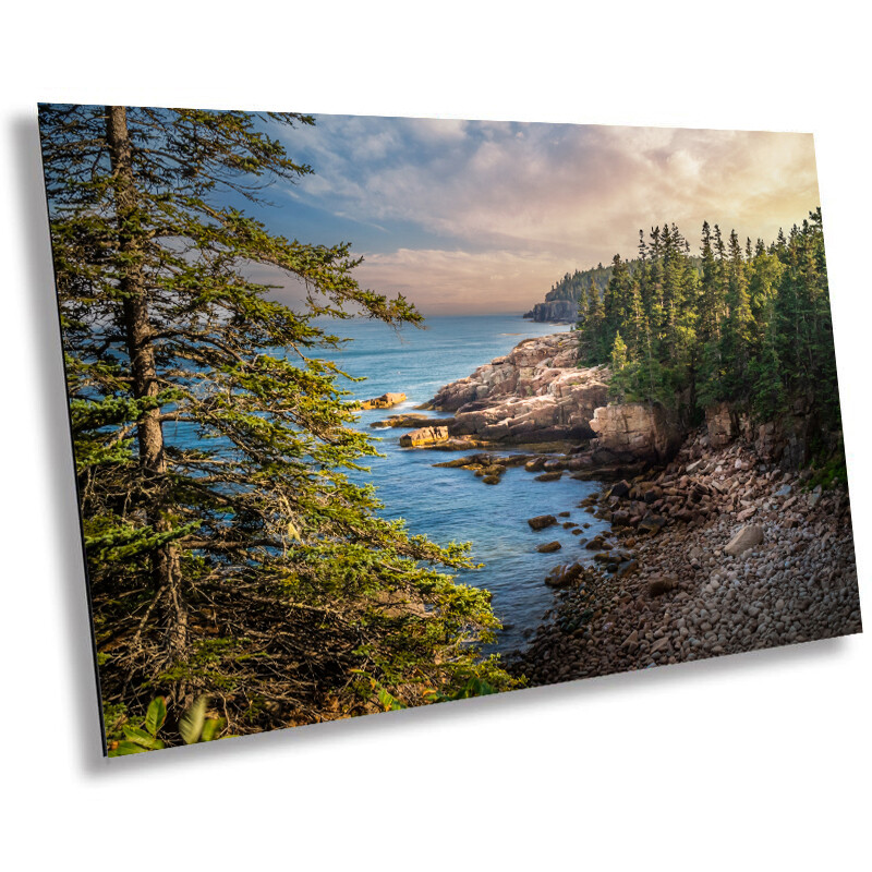 Green Serenity: Trees Framing a Quiet Lake in Acadia National Park Metal Print-image