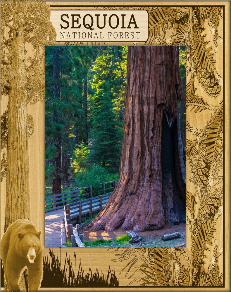 Sequoia National Forest Laser Engraved Wood Picture Frame Portrait (4 x 6)