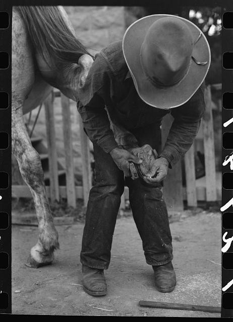 Mormon farmer shoeing a horse,Santa Clara,Utah,UT,Farm Security Admin,FSA,5