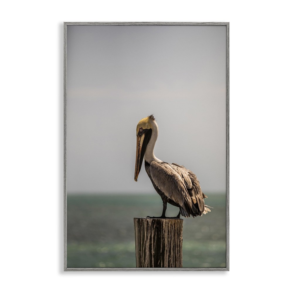 Nautical Landscape Pelican Framed Giclee Wall Art Design by Aaron Matheson, G...