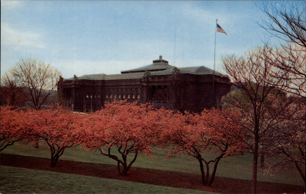 Pittsburgh Pennsylvania Carnegie Institute trees pink blossoms 1950s postcard