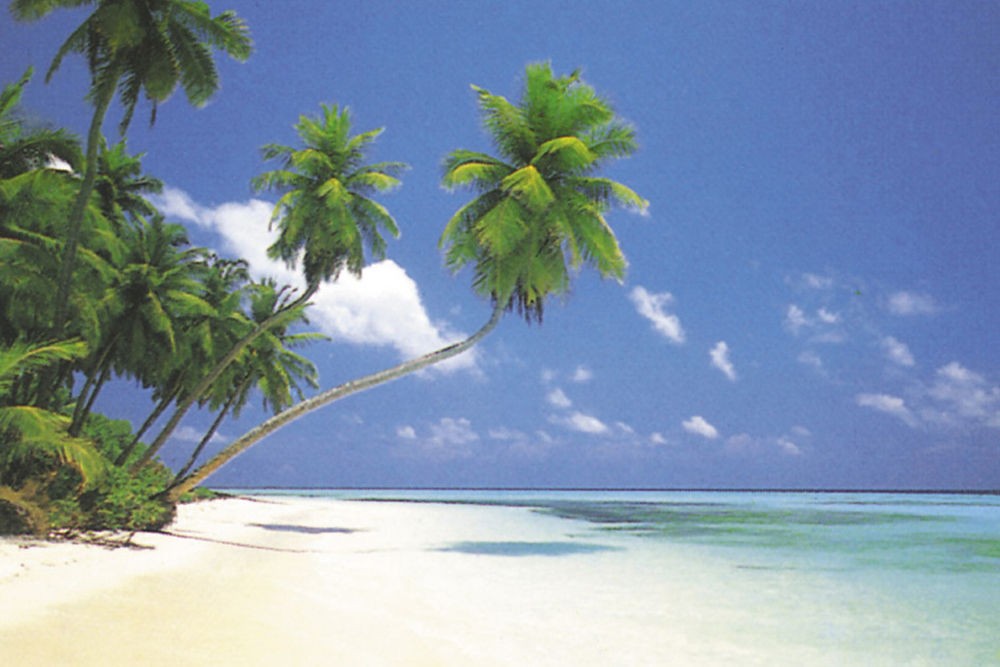 Poster Studio B - Maldive Morning Beach Ocean Sand 24x36