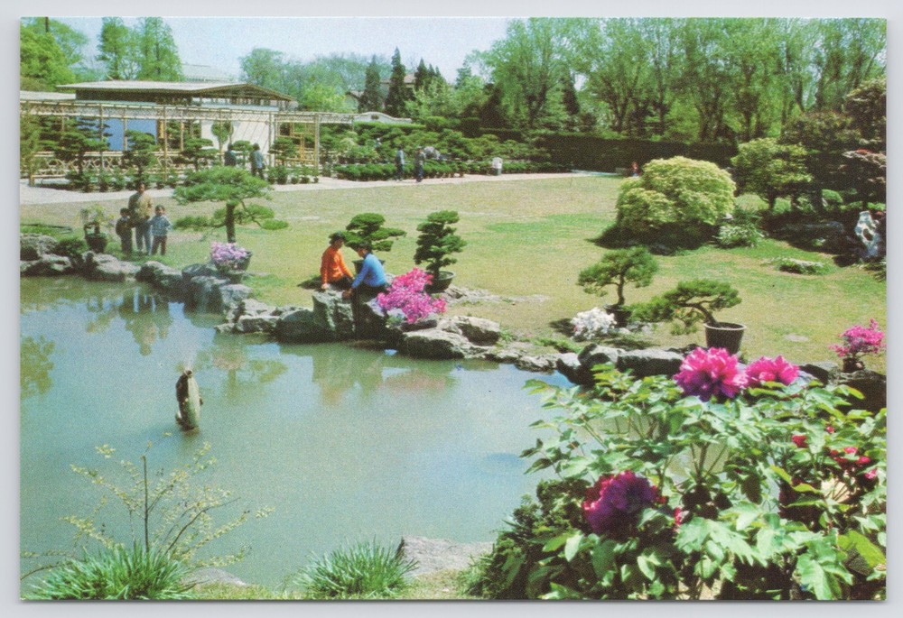 China~Long Hua Garden Of Potted Plants & Miniature Landscapes~Continental PC