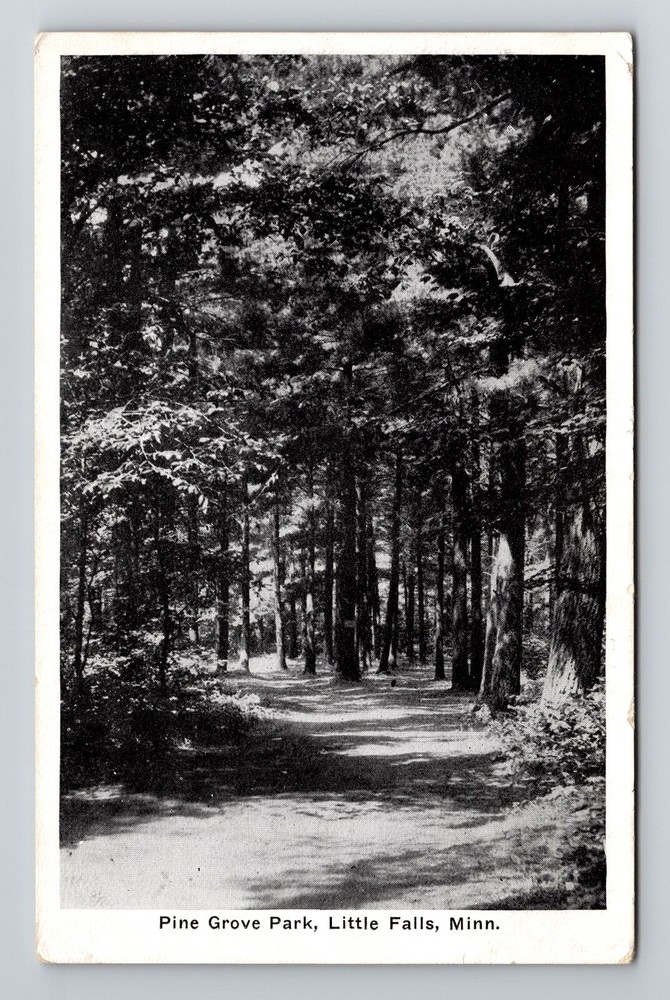 Little Falls MN-Minnesota, Pine Grove Park, Scenic, Vintage Postcard