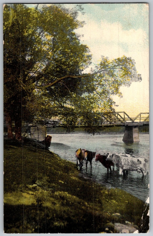 Antique Postcard Cattle River Bridge Amsterdam, NY 1910s