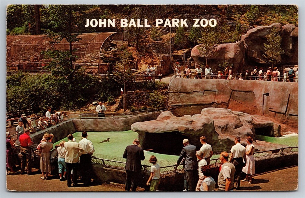 John Ball Park Zoo Seals Pool Grand Rapids MI Postcard N24