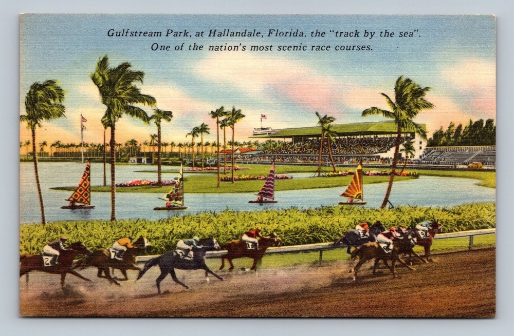 Vintage Gulfstream Park Horse Racing Postcard Hallandale Florida
