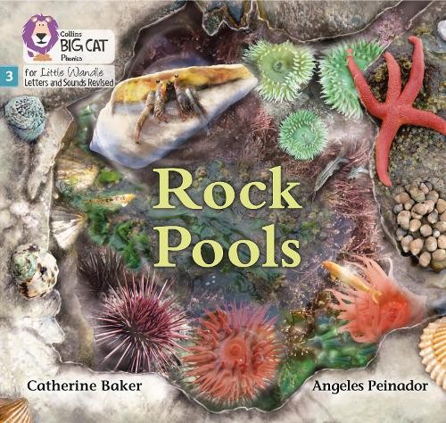 Catherine Baker Rock Pools (Paperback)Another great item from Rarewaves USA | Free delivery!