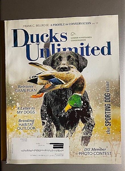 DUCKs UNLIMITED MAGAZINE: 