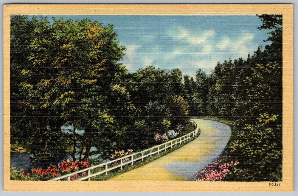 Vtg Linen Postcard Winding Country Road 1930s