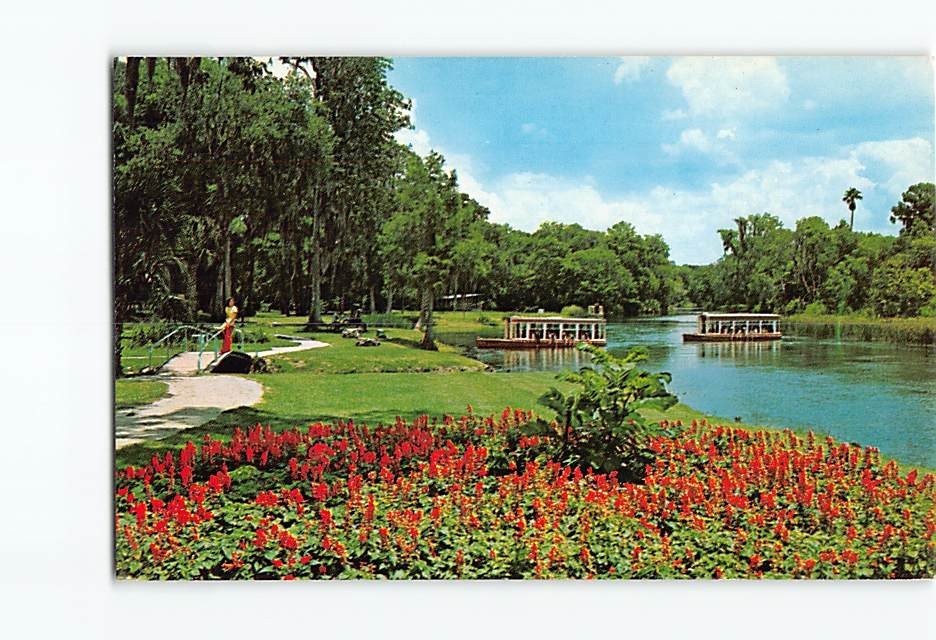 Postcard Glass Bottom Boats Silver River Silver Springs Florida USA